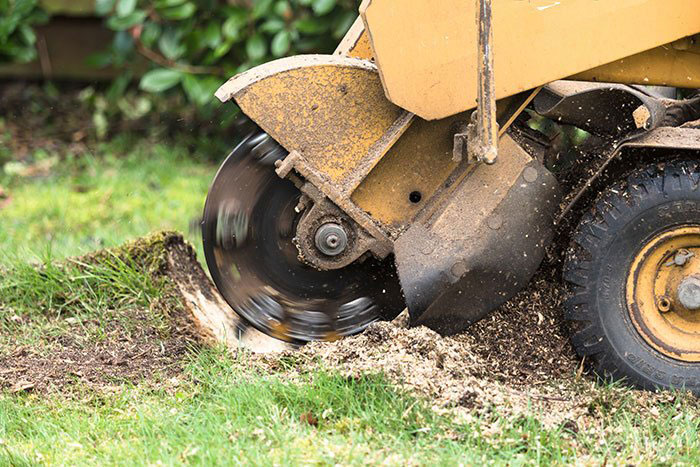 Stump Grinding Services
