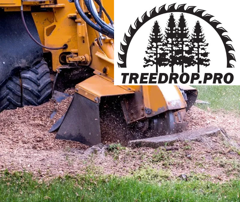Stump Removal Services